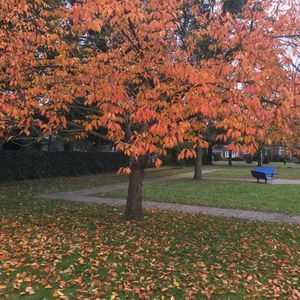 Meet your Posher, Mian